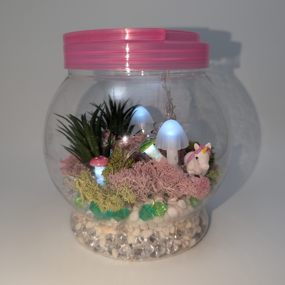 Light-Up Terrarium Kit for Kids